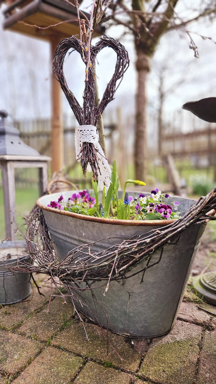 Frühlingsbeet in Zinkwanne