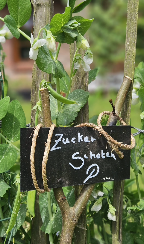 Schilder für Gemüsebett selbstgemacht